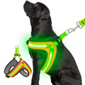 LED Glow Dog Harness - Rechargeable & Adjustable