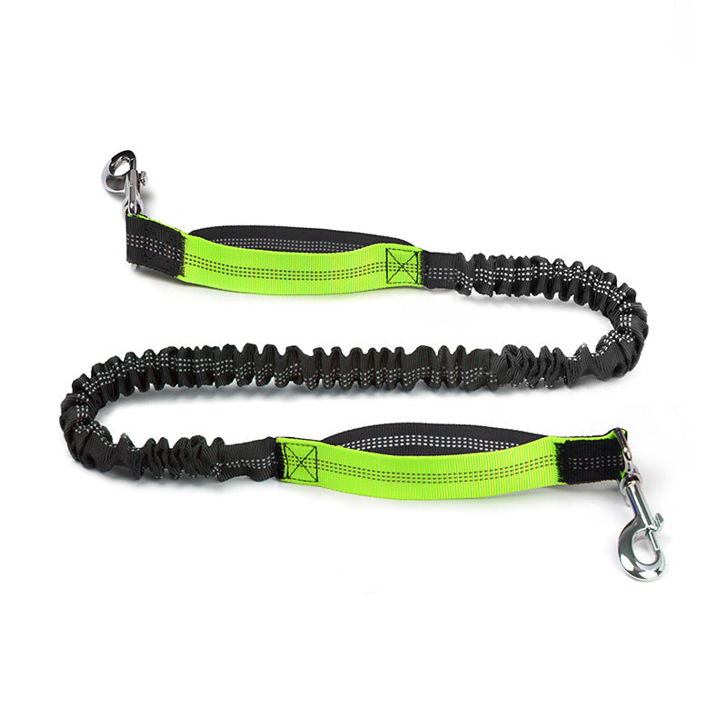 Trail Pals Pet Jogging Set
