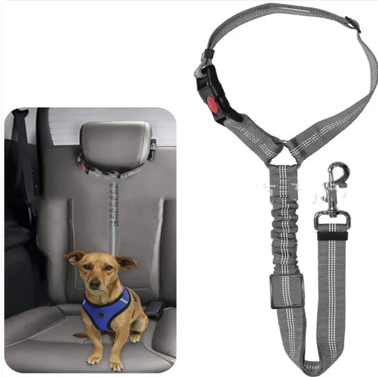 Safety Pet Car Leash