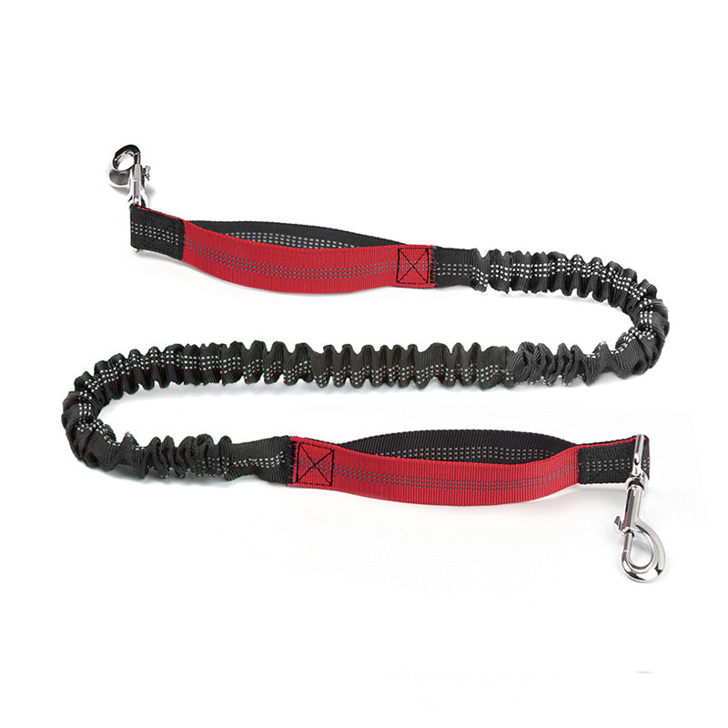 Trail Pals Pet Jogging Set
