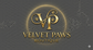 Translation missing: en.Velvet Paws Boutique accessibility.home