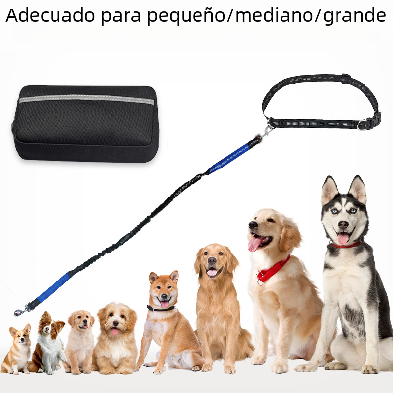 Trail Pals Pet Jogging Set