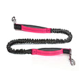 Trail Pals Pet Jogging Set