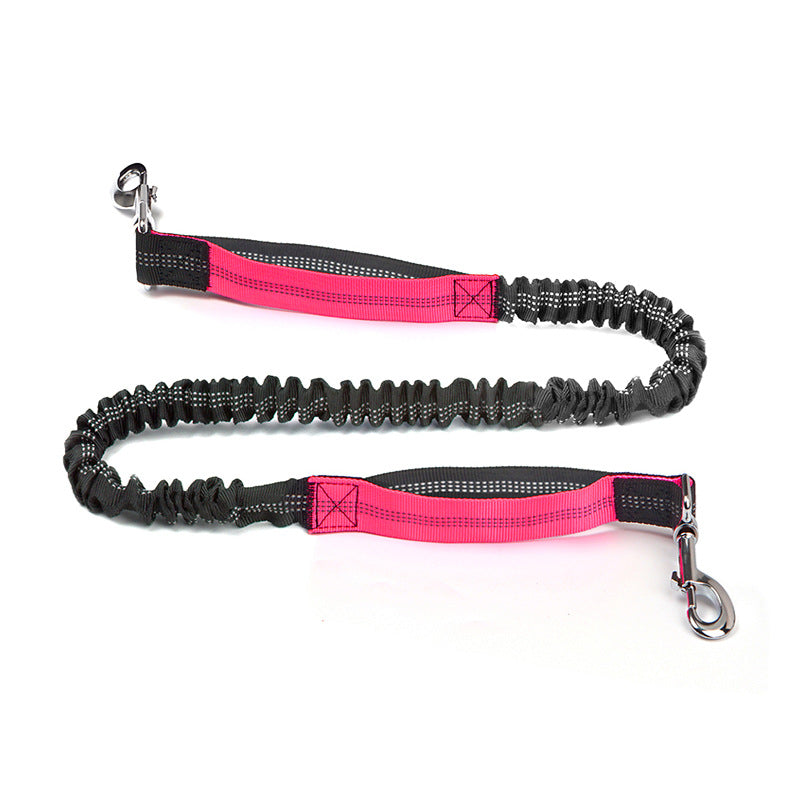 Trail Pals Pet Jogging Set