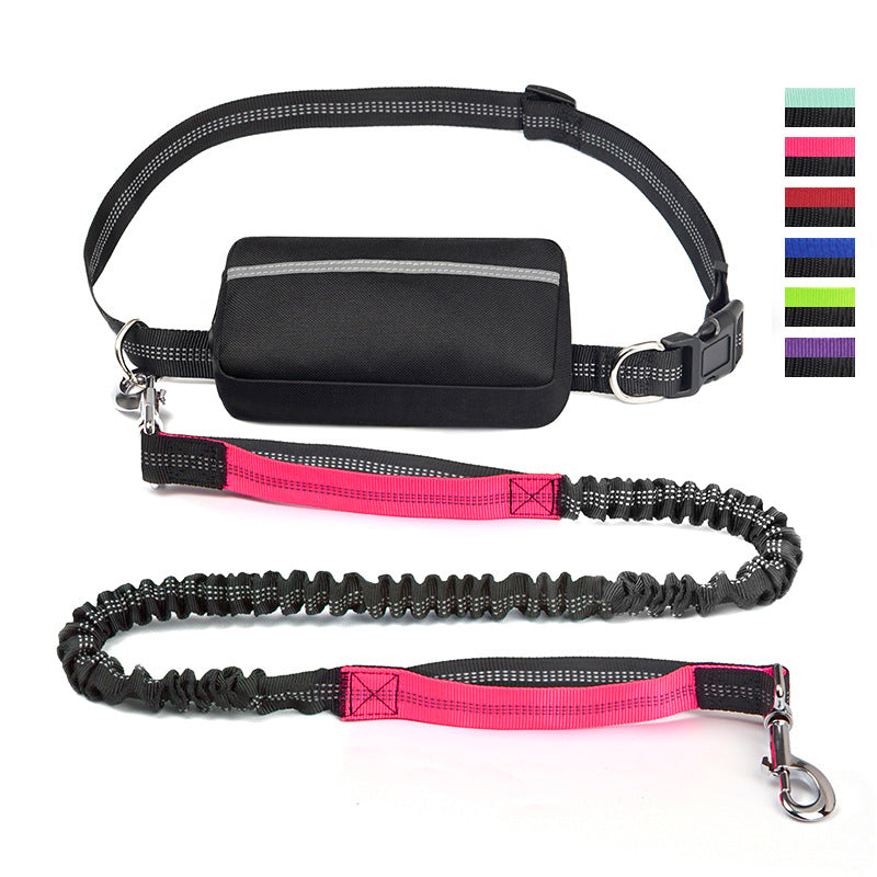 Trail Pals Pet Jogging Set