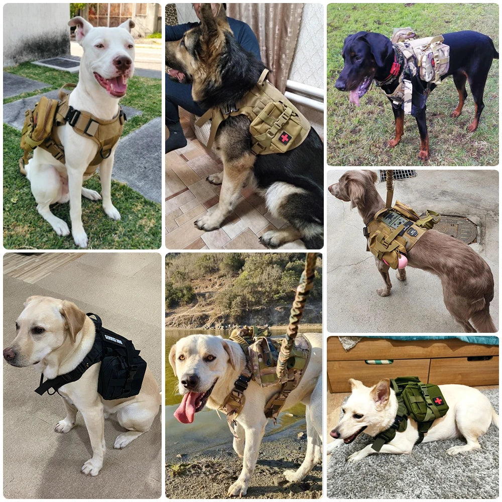 Professional Tactical Dog Harness - Desert Tan
