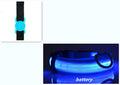 Glowing Silicone Dog Collar