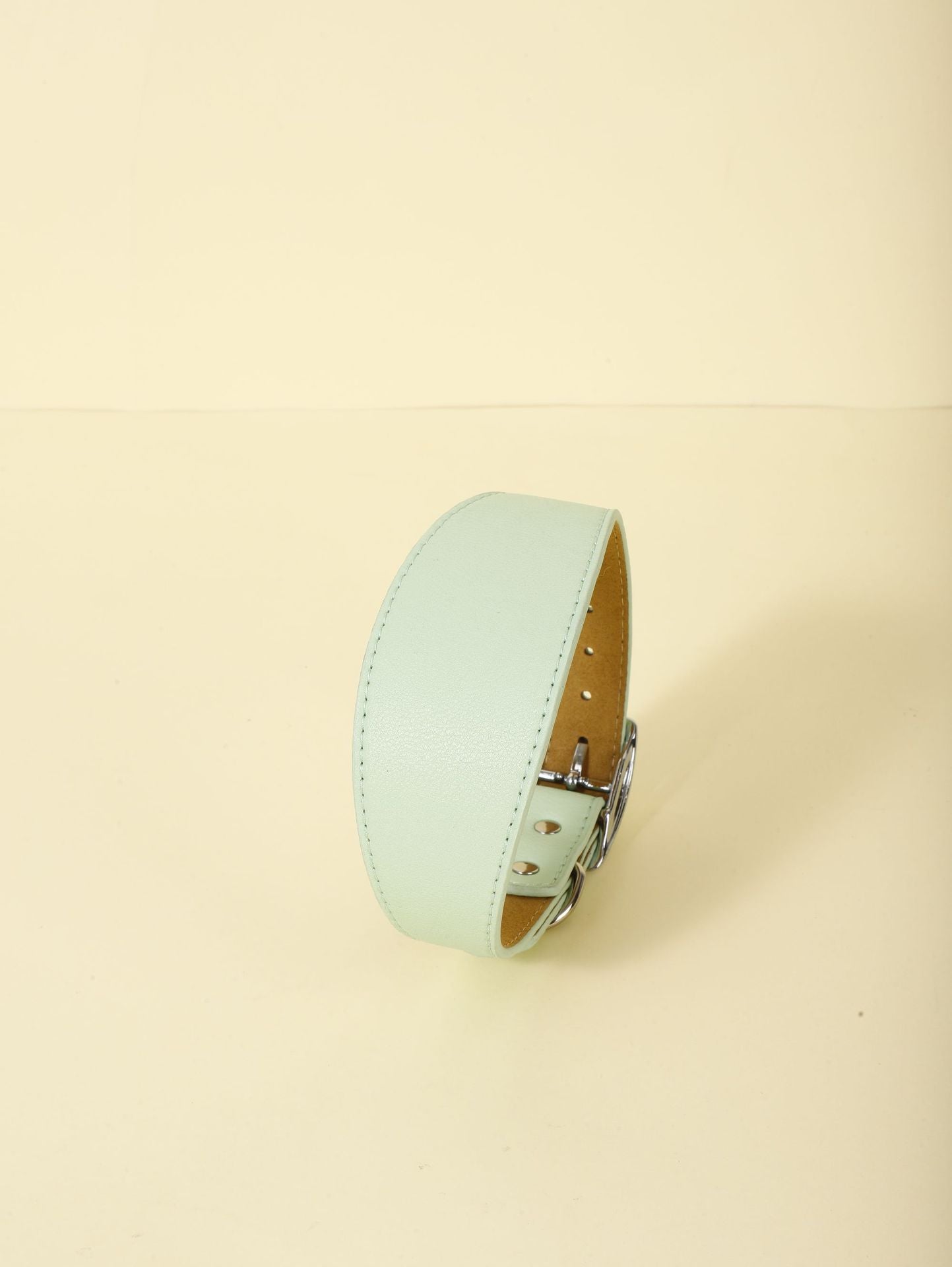 Flexible Fit Fashion Collar for Pets
