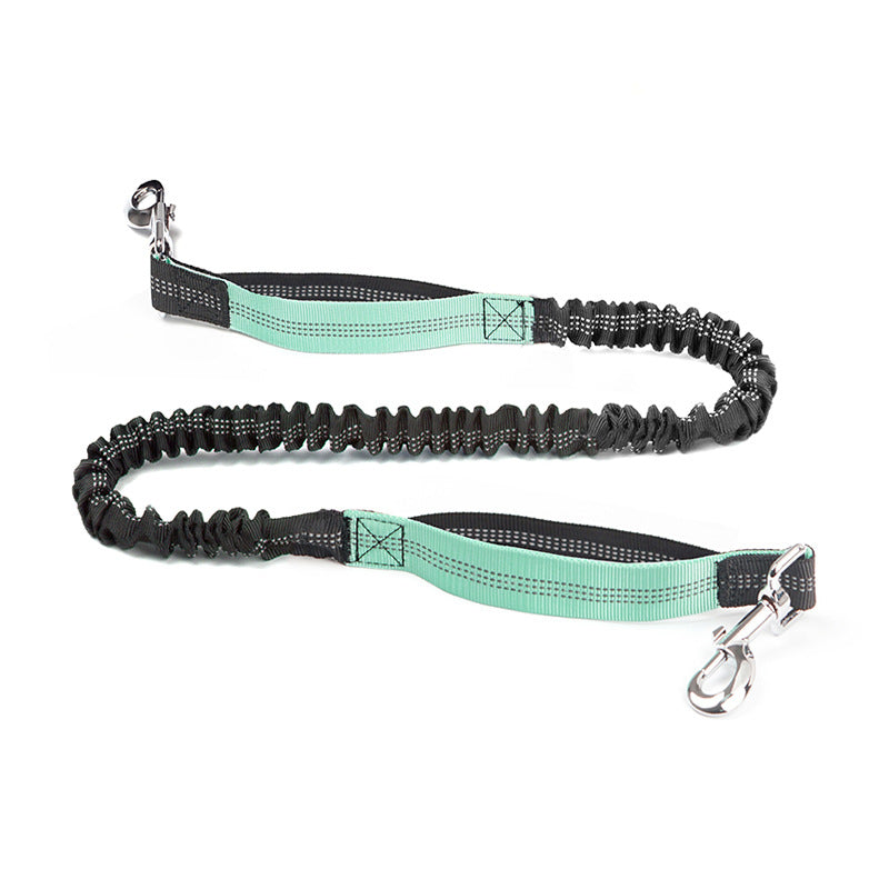 Trail Pals Pet Jogging Set