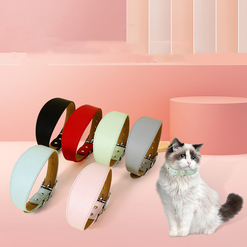 Flexible Fit Fashion Collar for Pets