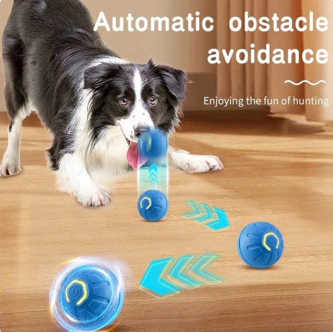 Auto-Bounce USB Pet Play Ball