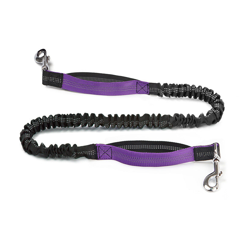 Trail Pals Pet Jogging Set